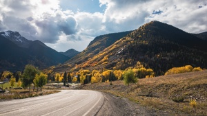 A road leading into a landscape of fall foliage
