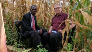 Filius Jere and Victor Kubik recording a podcast in a maize field.