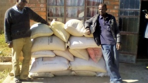 Food provided for brethren in Zimbabwe