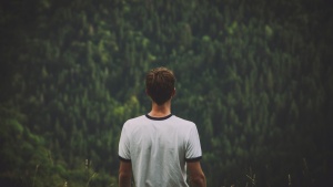 Photo of man in white t-shirt looking over wilderness.