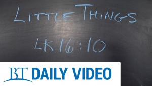 BT Daily: Little Things