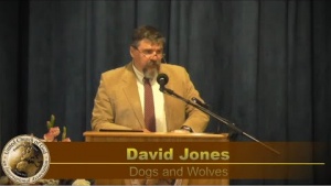 "Dogs and Wolves" by David Jones - Sermon 2020-08-08