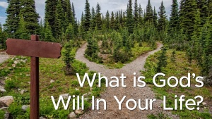 Sermon: What is God's Will In Your Life?