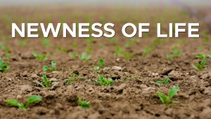 Sermon: Newness of Life