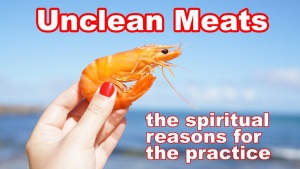 Unclean Meat: The Biblical Reasons For Making A Distinction