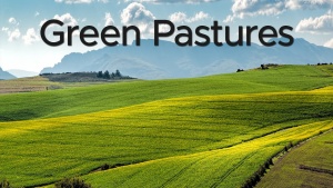 Sermon: Green Pastures