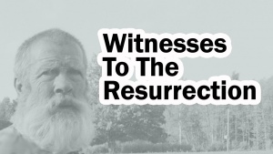 The Witnesses to the Resurrection of Jesus Christ