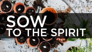 Sermon: Sow to the Spirit