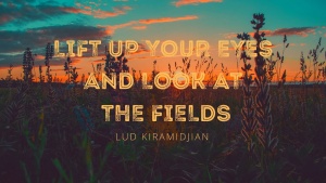 Lift Up Your Eyes and Look at the Fields