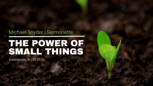 Michael Snyder - The Power of Small Things - Feb. 25, 2023