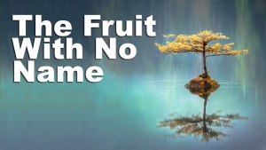 The Fruit With No Name - Gentleness and Peace of Mind