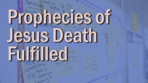 Prophecies of Jesus Death Fulfilled - Everything Is Proceeding According to Plan