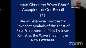 Jesus Christ the Wave Sheaf Accepted on Our Behalf