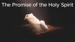 Sermon: The Promise of the Holy Spirit