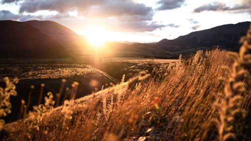 a landscape of rolling hills with the sun shining at the edge of the horizon and highlighting golden fields of grass beneath a cloudy sky