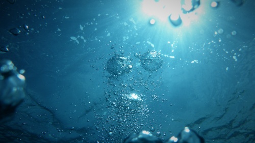 a view from underwater looking up towards the surface where sunlight hits the water, highlighting the bubbles underwater