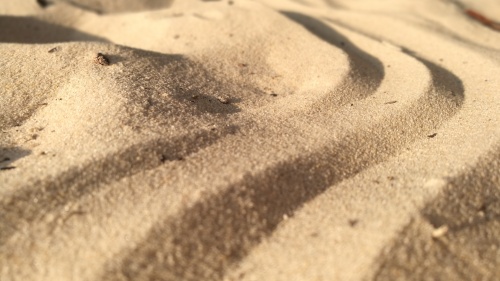 an expanse of sand with lines drawn across it