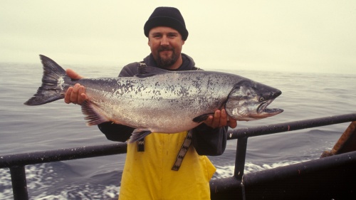 A very large salmon being held by a fisherman.