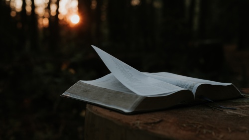 a open Bible against a dark outdoor background