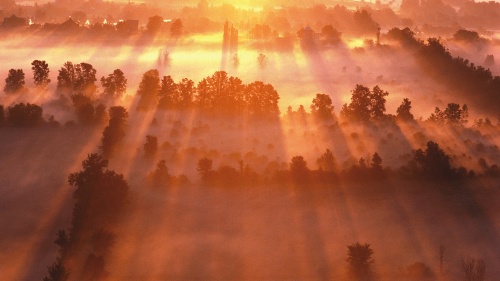 A foggy sunrise over farmlands.