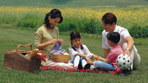 A family having a picnic in a field. 