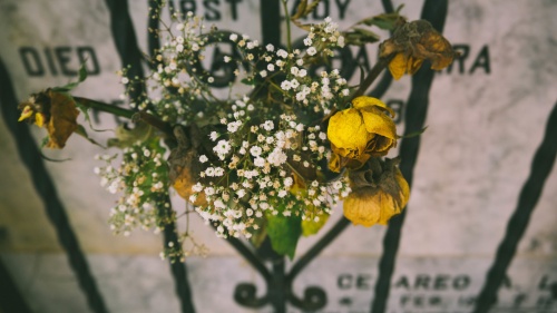 Des fleurs sur une pierre tombale