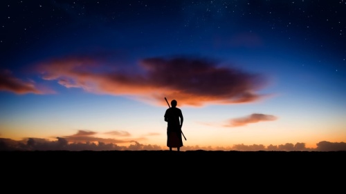 Photo illustration of a shepherd standing in field at dark.