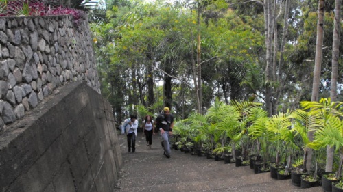 The 275 steps we had to face to get to our rented house overlooking Lake Atitlán in Panajachel, Guatemala.