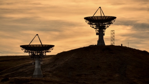 Satellite dishes pointing up into the sky.