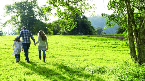 A family walking in a green pasture.