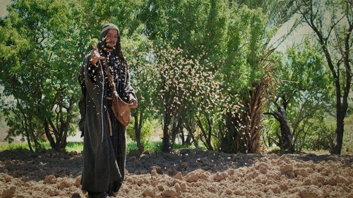 A photo illustration of a man throwing seed on the ground.