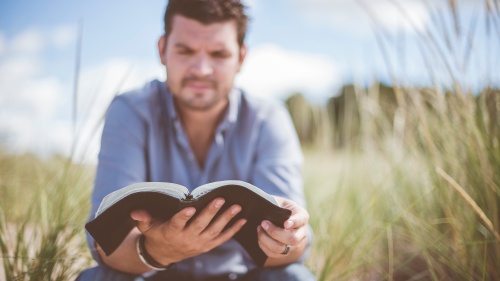 A man reading a Bible in a grassy field.