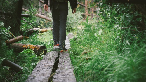 A person walking on wood beams in a forest.