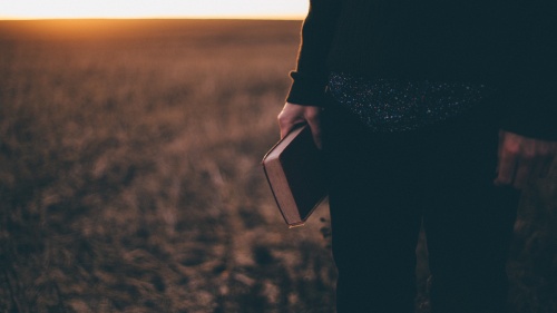 A person standing in a field holding a Bible while the sun is setting.