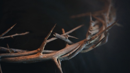 Crown of thorns. 