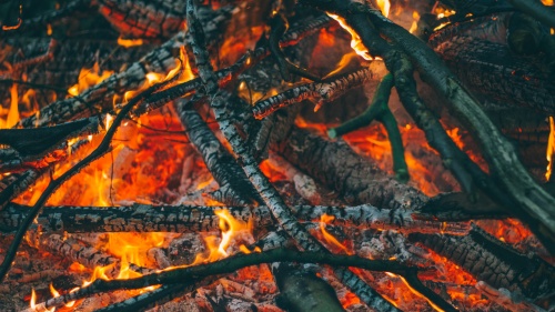 A burning pile of sticks.
