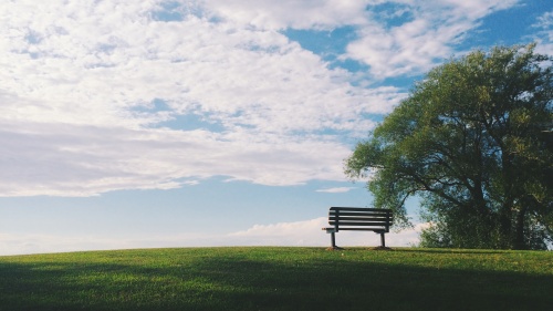 Photo of an empty park bench in a grassy park next to a tree.