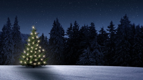 A christmas tree with lights in a snowfield. 