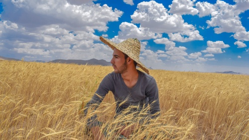 A man wearing a straw hat sits in a grain field under a blue sky dotted with clouds.