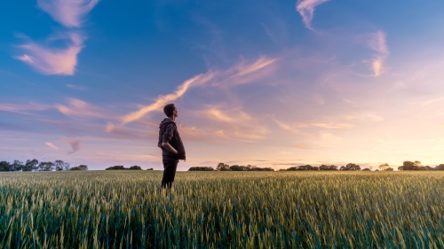 man in wheat field under gorgeous sunset gradient sky looking contemplatively upwards