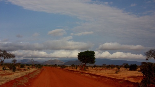 a landscape of Mombasa, Kenya with a red earth road, trees, shrubs and distant mountains