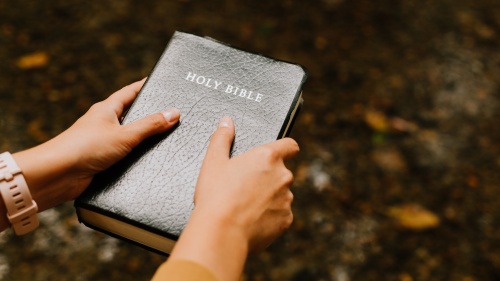 A person holding a Bible.