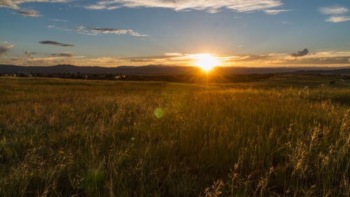 A sunset over a field.