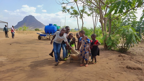 a group of children playing outside with a blue cloudy sky and mountain in the background