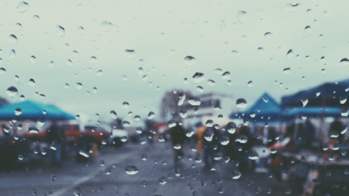 Raindrops on a car windshield.