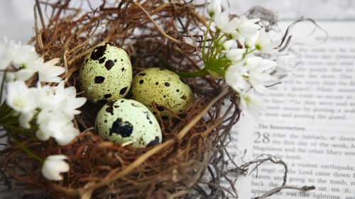 A nest of spotted Easter eggs on top of an open Bible.