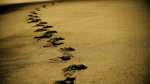 Footprints in sand.