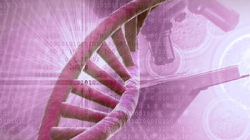 God, Science and the Bible: DNA Discoveries Demonstrate Divine Design
