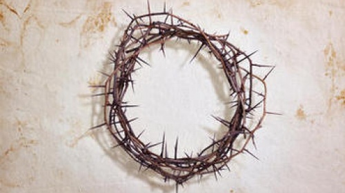 crown of thorns