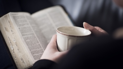 Person reading a Bible 